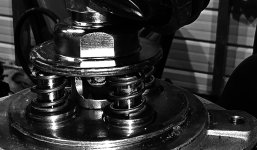 20250401_150927_BW.jpg