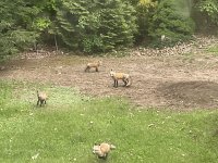 IMG_0469.jpeg