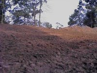 608149-lot01199.jpg