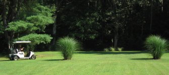 431618-Meadowood3.jpeg.jpg