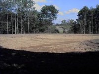 608167-lot01237.jpg