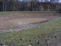 608174-lot01275.jpg