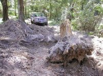 772523-Winch Stump.jpg