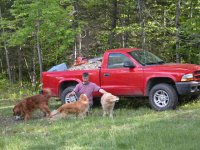 436241-Truck of Chips.JPG