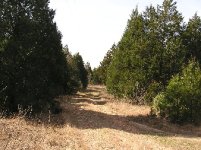 571285-P1010008-1.jpg