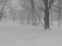 392508-march16 snow.jpg