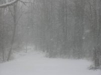 392515-still snowing.jpg