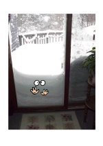 571565-Snowed in patio with eyes A.jpg