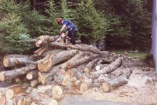 483769-Philsaws pile.JPG