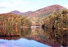 437135-unicoi lake in fall3.jpg