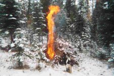 572230-burning.jpg