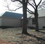 609609-Trees.JPG