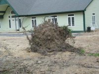 437935-IMG_0453.JPG