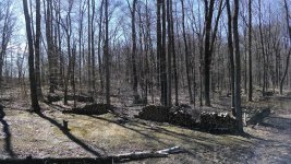 back yard.jpg back yard.jpg