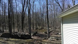 back yard4.jpg back yard4.jpg