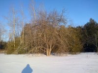 Clarington-20140305-00135.jpg