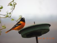 DSCN9569.jpg