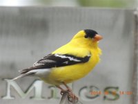 DSCN9578.jpg