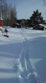 ForumRunner_20140401_123844.png ForumRunner_20140401_123844.png