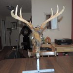 DSCN2979.jpg