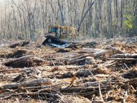 shear dozer 3-10-2014 (13).JPG