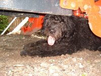 DSCF1086.JPG
