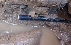 waterline2.jpg