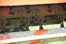 IMG_2746r.JPG