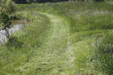 IMG_2778.jpg