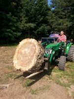 Man sized log.jpg