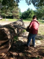 New saw.jpg