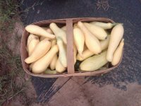 IMG-20140616-00216.jpg