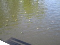 IMG_0292.JPG