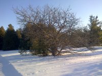 Clarington-20140305-00136.jpg
