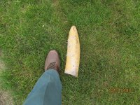 IMG_2470.JPG
