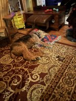 IMG_1731.jpeg
