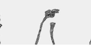 ??????????.png