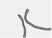 ??????????1.png