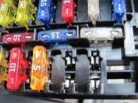 IMG_1451.jpg