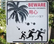 260px-'BEWARE_FALLING_COCONUTS'_sign_in_Honolulu,_Hawaii.JPG