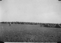 ww2tents.jpg