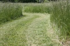 IMG_2781r.JPG
