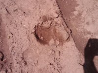 IMG-20140424-00157.jpg