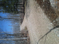 ForumRunner_20140428_215523.png