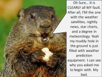 groundhog.jpg