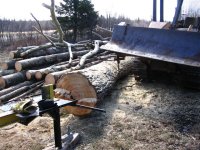 FireWood2009_04_18_ 017.jpg