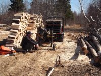 Firewood 2012-04-07- 004.jpg