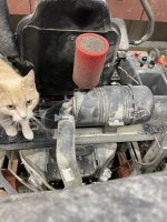 IMG_7995.JPG