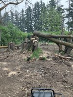 IMG_3910.jpeg