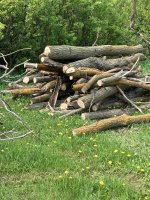 IMG_3909.jpeg